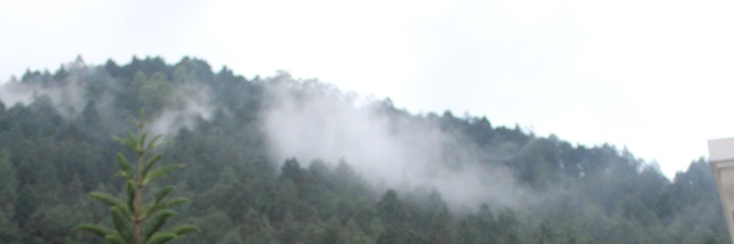 magggenta's profile banner image