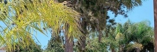 SPICYASFUCK's profile banner image