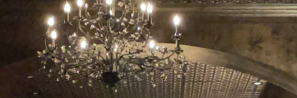 alygnian's profile banner image