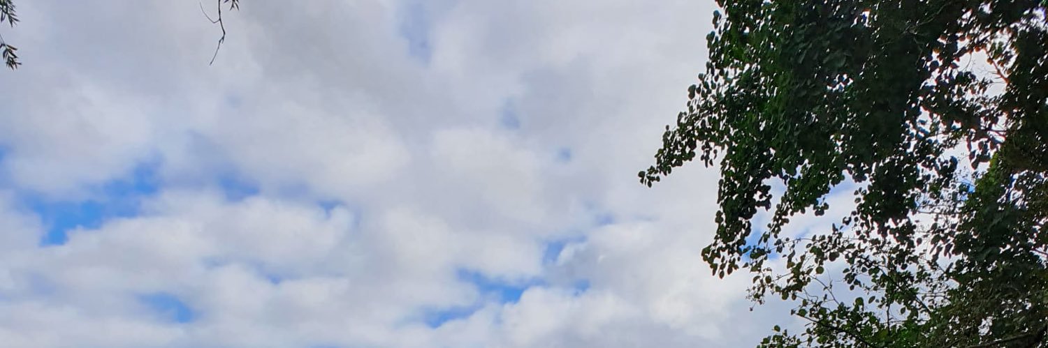 davidhargy's profile banner image