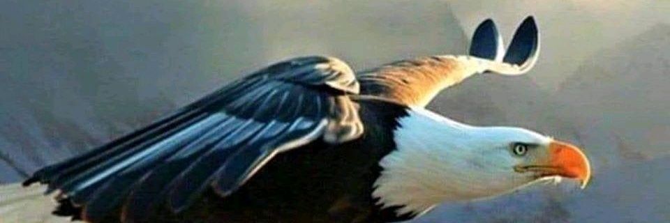 JoJu62's profile banner image