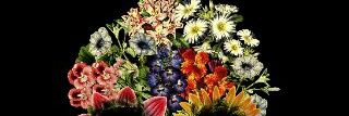 adeeb8021's profile banner image