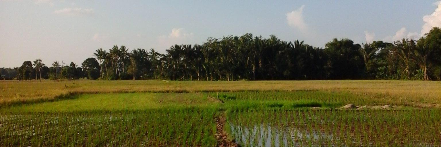 ShhFia's profile banner image