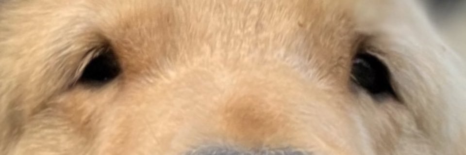 jonslopes's profile banner image