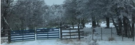 Raúl Bayer H banner