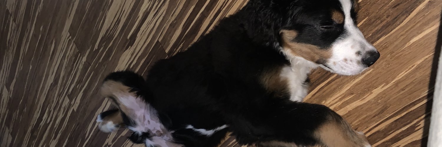 Daniel Milian banner