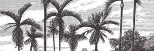 نور آل ثاني banner