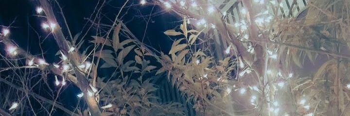 lovemarotype's profile banner image