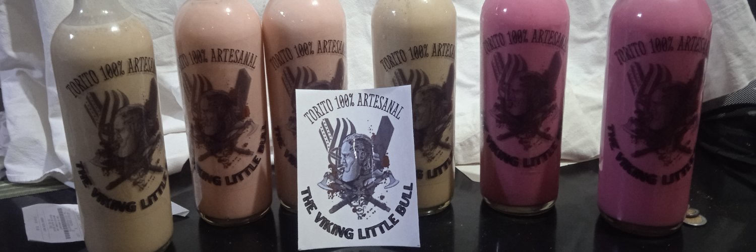 Ragnar Raider banner