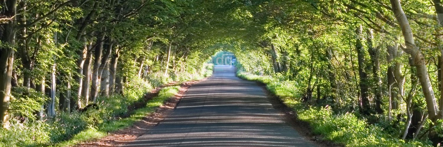 DavidGass's profile banner image