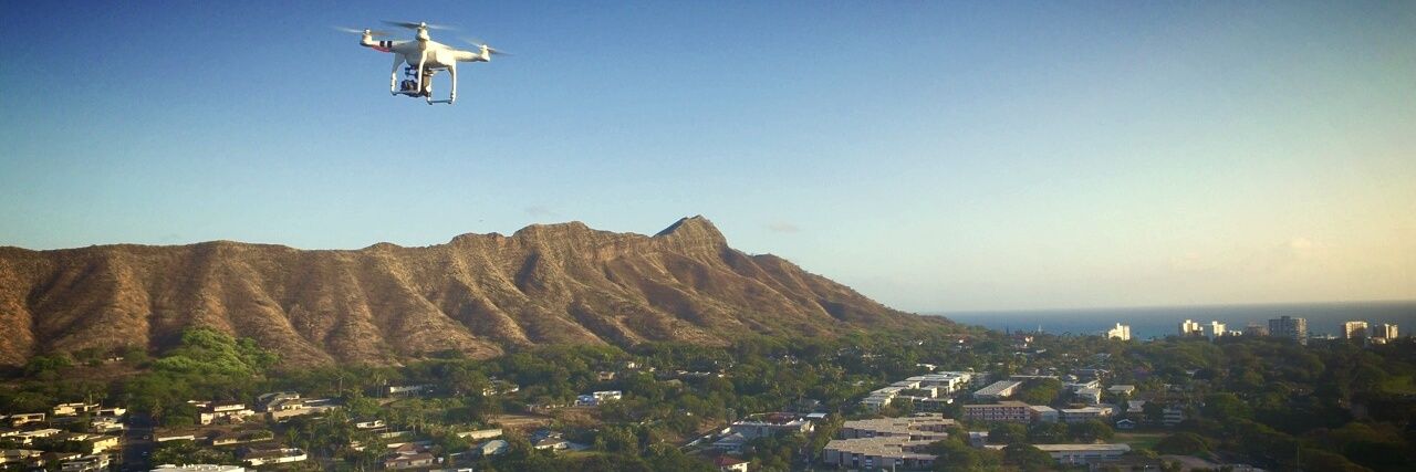 Noil Bee 🎬⚡️🌴 banner