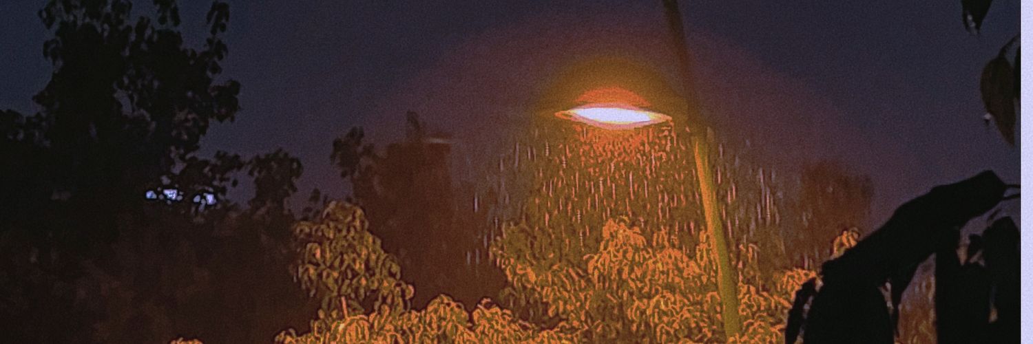 anhchuss's profile banner image