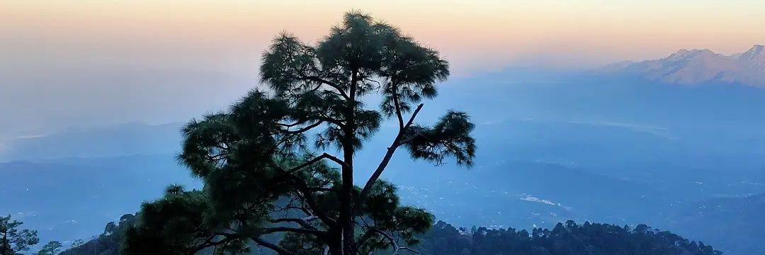 CMA_SUBHAM's profile banner image
