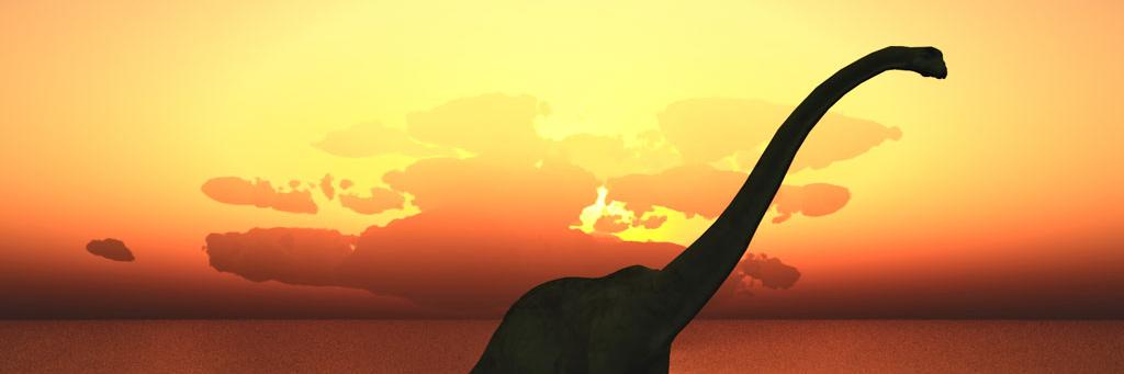 cookemai's profile banner image