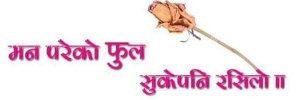 RokaJeevan's profile banner image