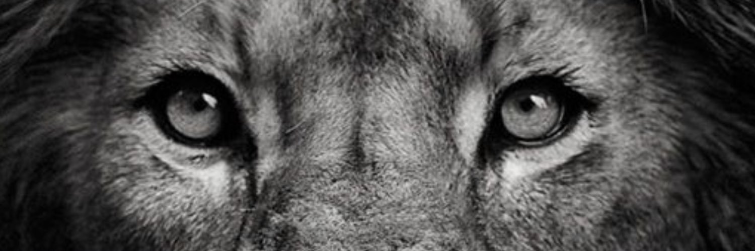 TheLouieLawyer 💼 banner