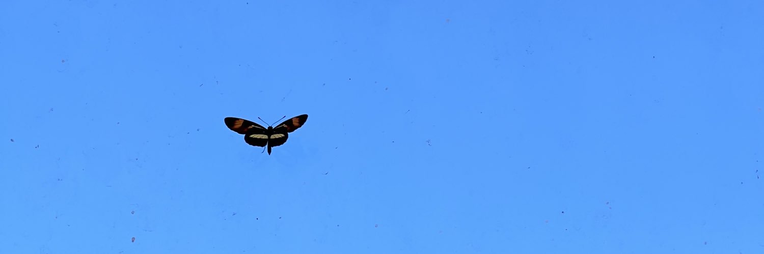 souteixla's profile banner image