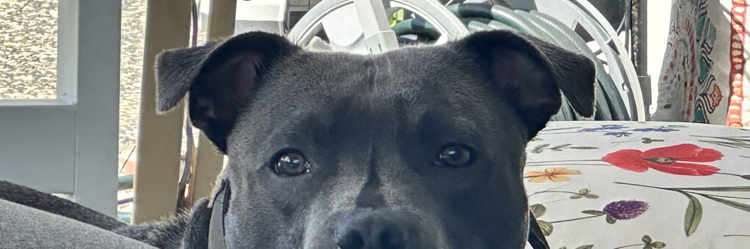 Babilli 🇦🇺 banner
