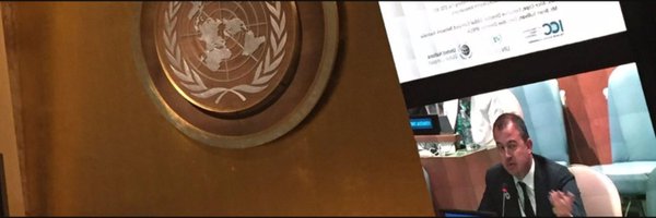 MViegas Profile Banner