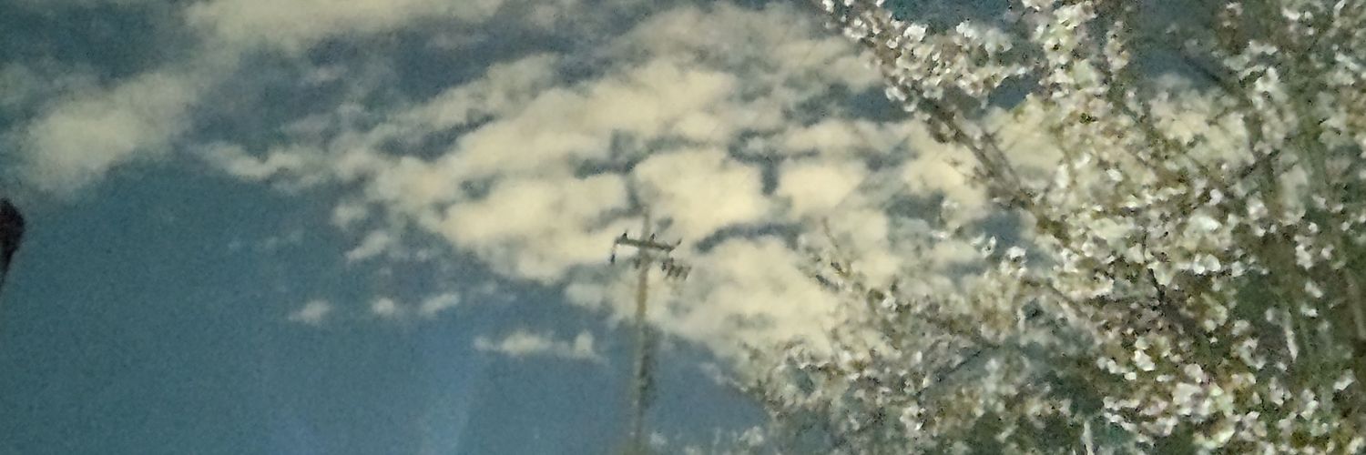 daimaoh_death's profile banner image