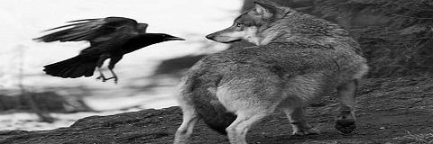 Oliverchuy's profile banner image