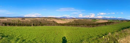 手塚日南人 banner