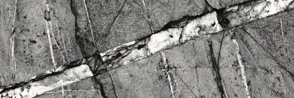 thepapershades Profile Banner