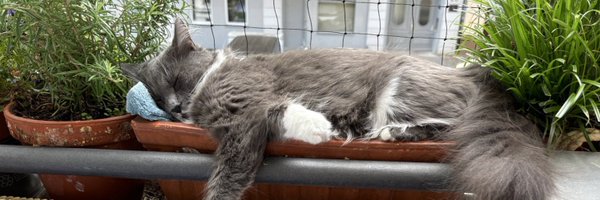 evaception Profile Banner