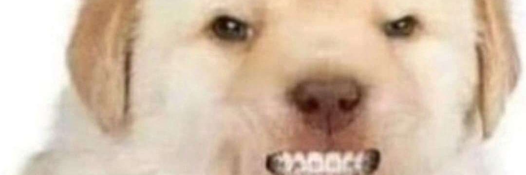 peakocking's profile banner image