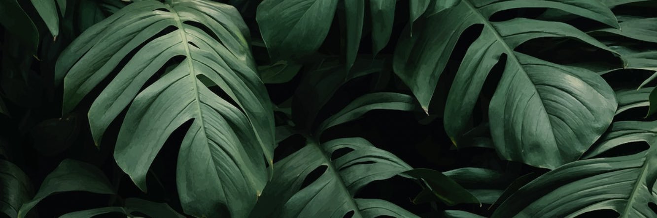 fieldofsunshine's profile banner image
