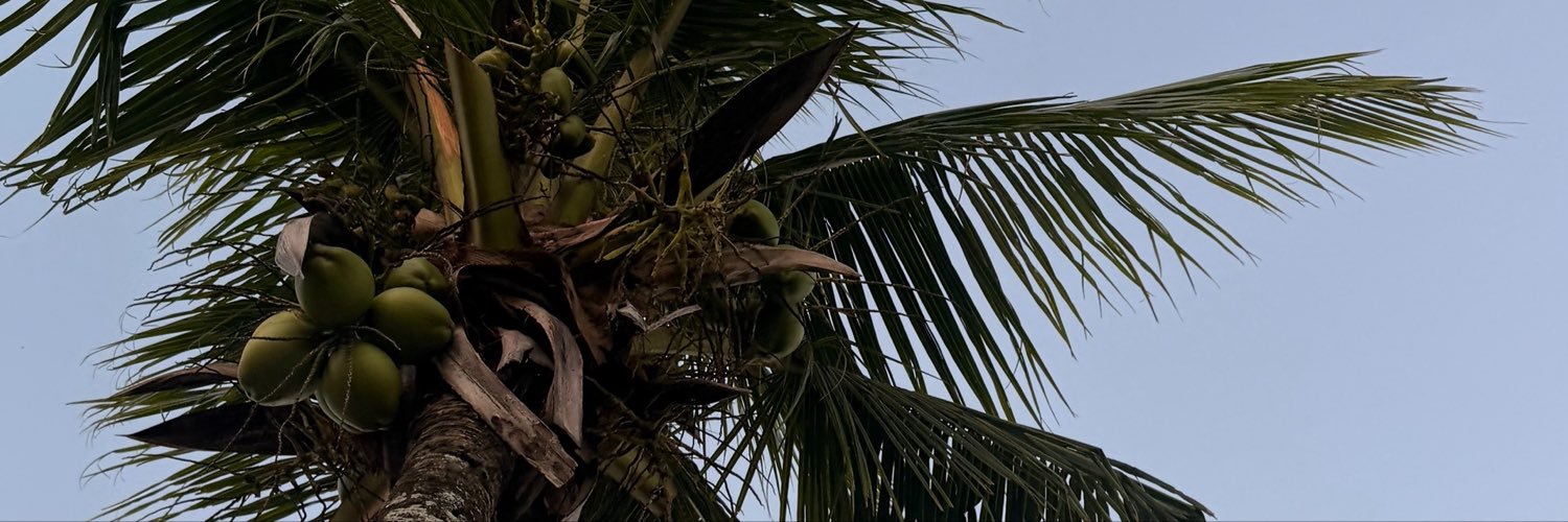 Paulamonteiro22's profile banner image