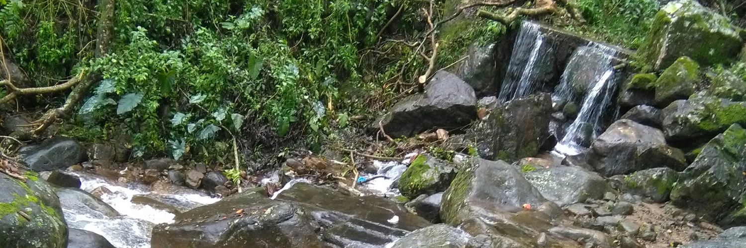 Azeem Rashard banner