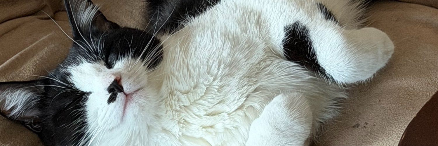 yoitsstephanii's profile banner image