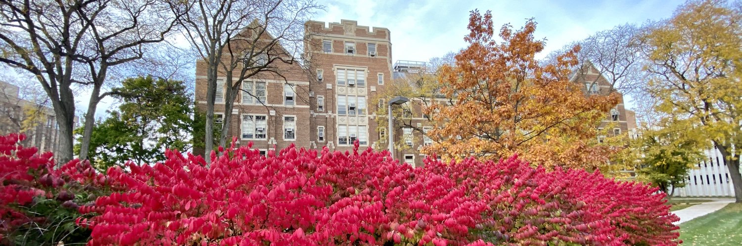 Geraud Plantegenest banner