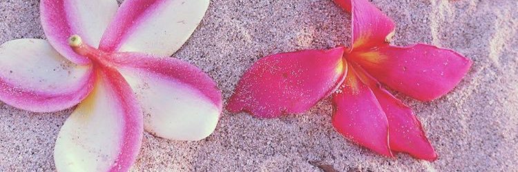 _tarina_96's profile banner image
