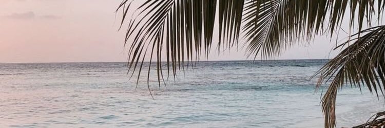 chantalwon_'s profile banner image