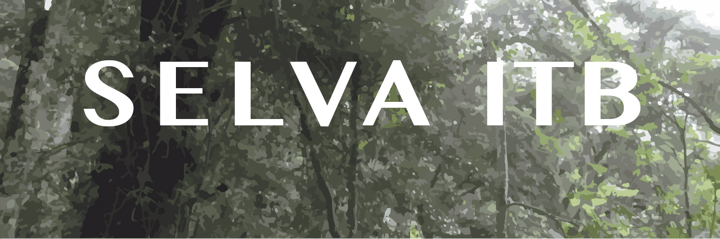 HMH 'Selva' ITB banner