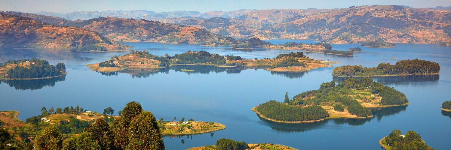 vascubrian's profile banner image