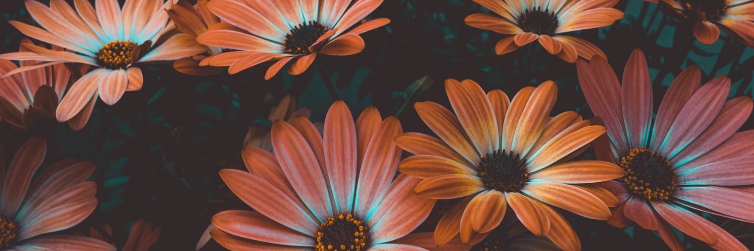 cleverandclass's profile banner image