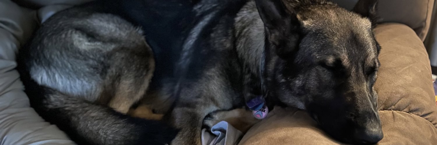 Lynn M. Burbank banner