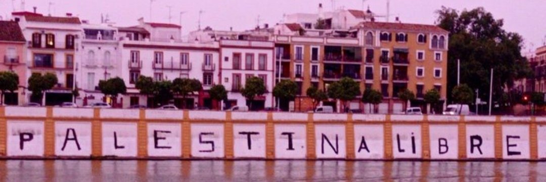 Zocato 🇵🇸 banner