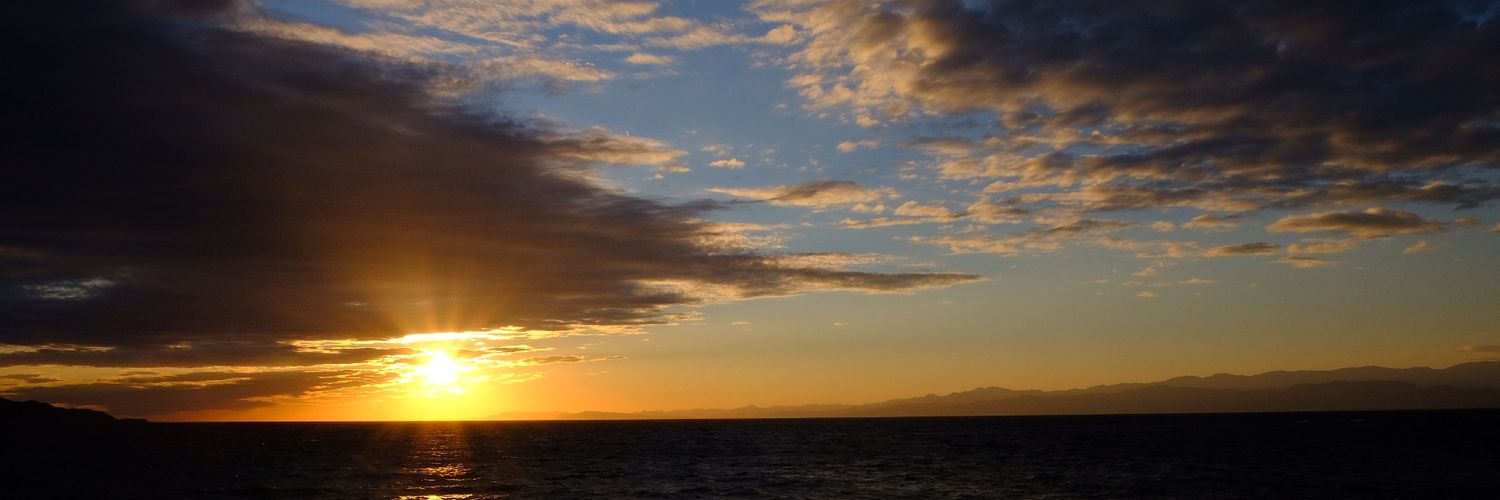 こぢさん（こぢまる) banner