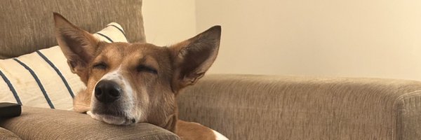 Falooly Profile Banner