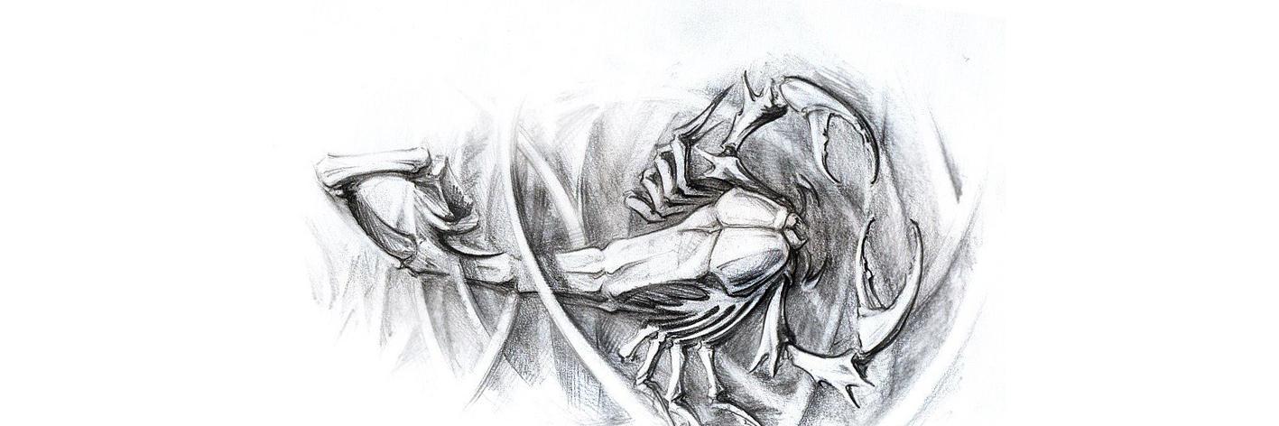 SergNIK1111's profile banner image