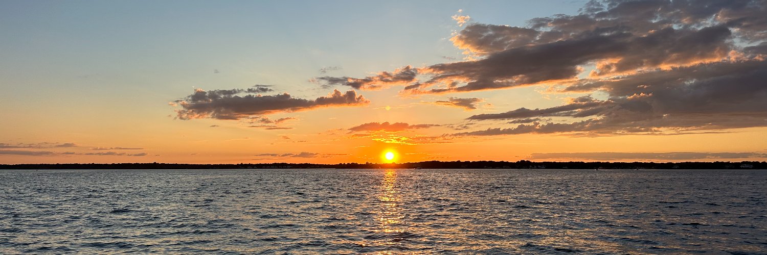 Mark C. Webster banner