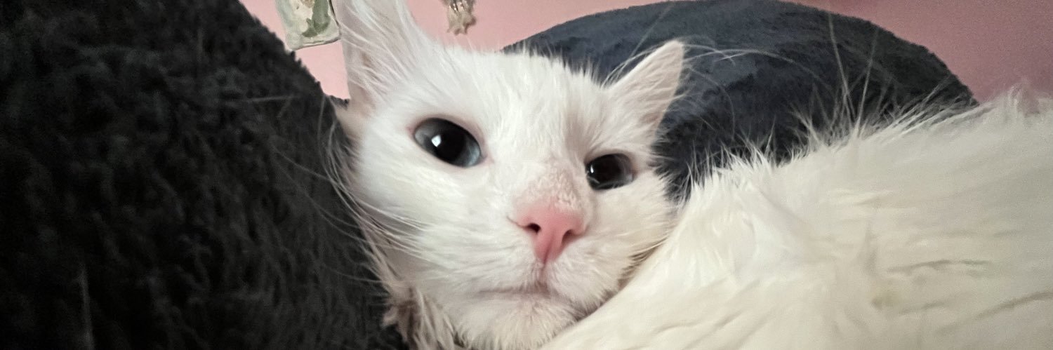 natnatwut_'s profile banner image