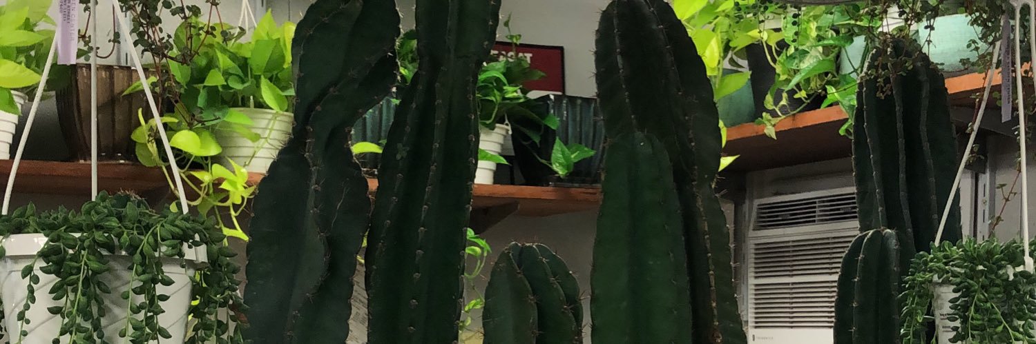 meg_harding's profile banner image
