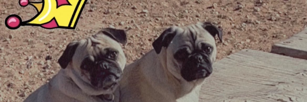 RamirezBostynn's profile banner image