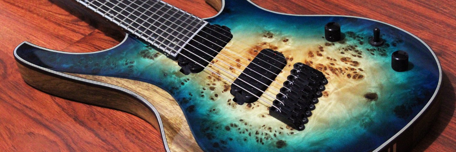 haloguitars's profile banner image
