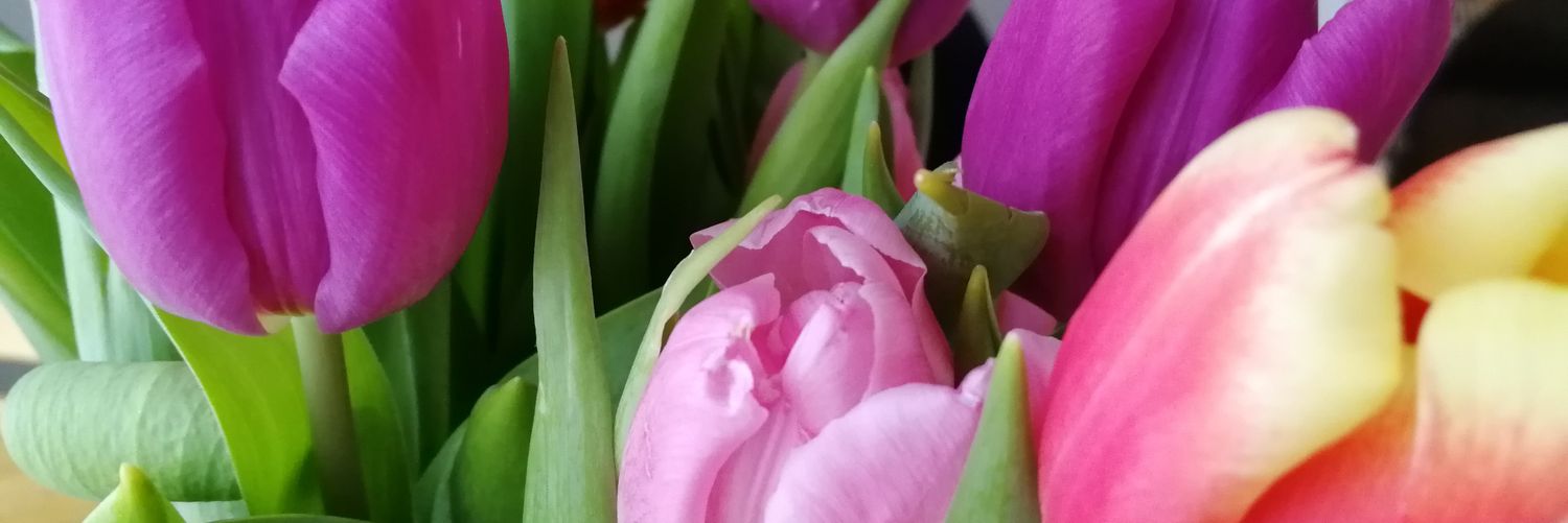 jpmakiniemi's profile banner image